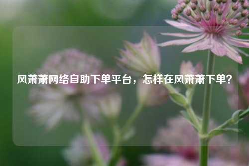 风萧萧网络自助下单平台，怎样在风萧萧下单？