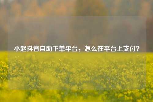 小赵抖音自助下单平台，怎么在平台上支付？