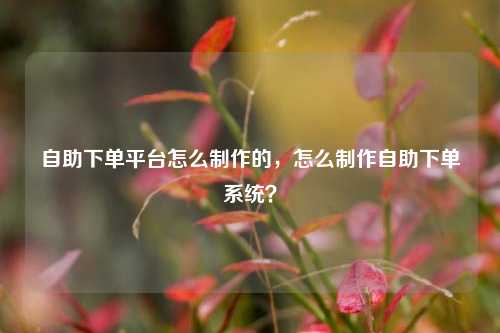 自助下单平台怎么制作的，怎么制作自助下单系统？