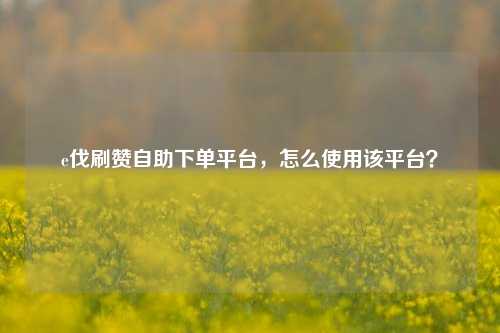 e伐刷赞自助下单平台，怎么使用该平台？