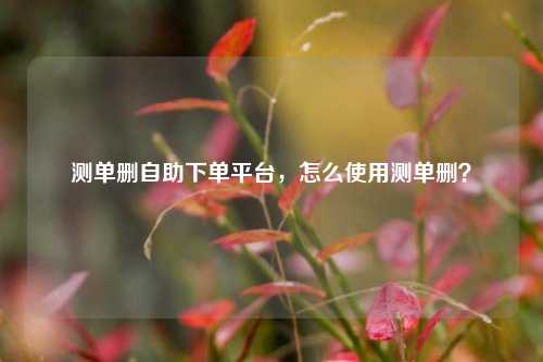 测单删自助下单平台，怎么使用测单删？
