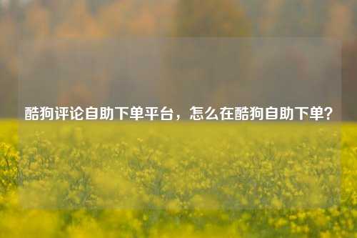 酷狗评论自助下单平台，怎么在酷狗自助下单？