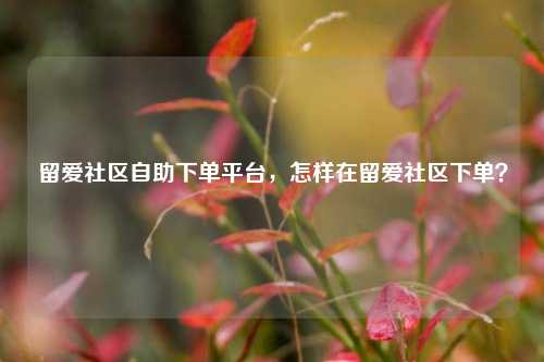 留爱社区自助下单平台，怎样在留爱社区下单？