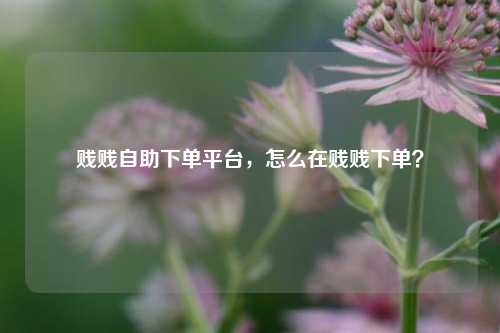 贱贱自助下单平台，怎么在贱贱下单？