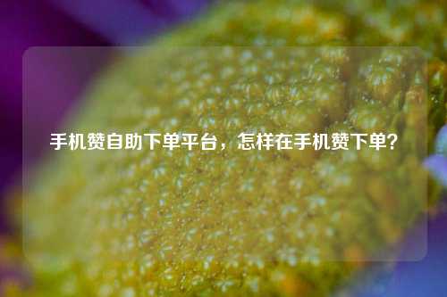 手机赞自助下单平台，怎样在手机赞下单？