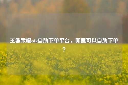 王者荣耀cdk自助下单平台，哪里可以自助下单？