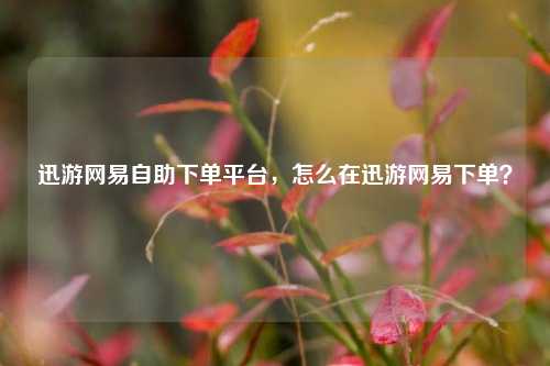迅游网易自助下单平台，怎么在迅游网易下单？