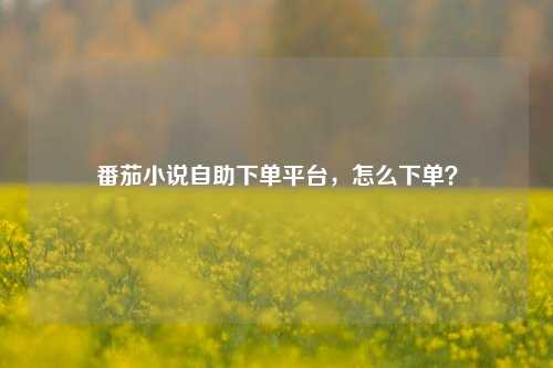 番茄小说自助下单平台，怎么下单？