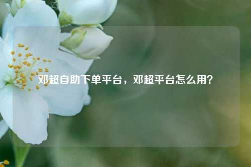 邓超自助下单平台，邓超平台怎么用？