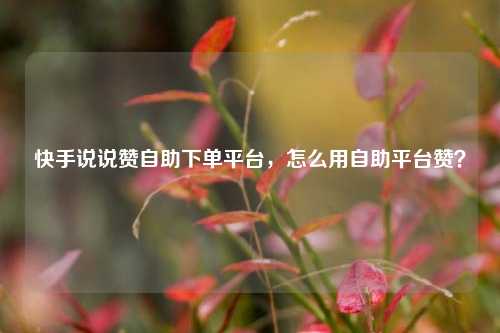快手说说赞自助下单平台，怎么用自助平台赞？