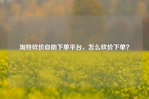 淘特砍价自助下单平台，怎么砍价下单？