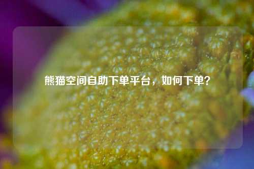 熊猫空间自助下单平台，如何下单？